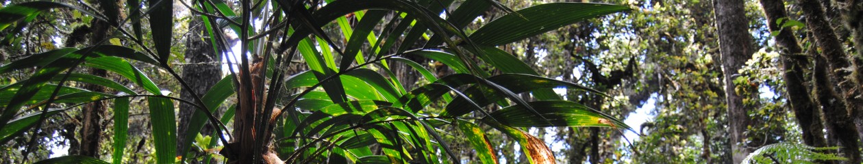 Tropical Botany